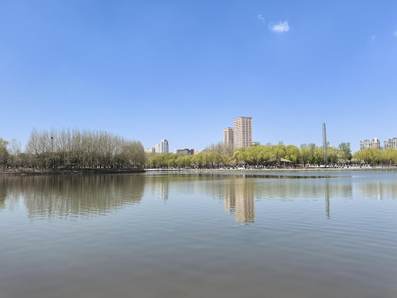 你喜欢郑钦文吗？喜欢