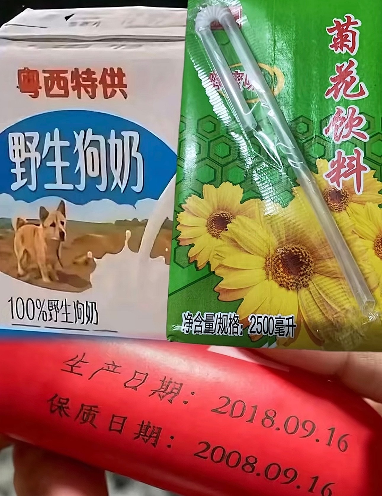 我已掌握了法则之力…