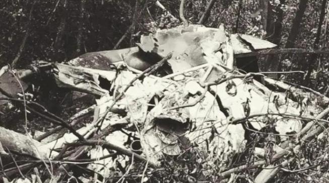 1996年，2名广西农民上山采药时迷路，兜兜转转找路过程中，突然发现迷雾深处传来