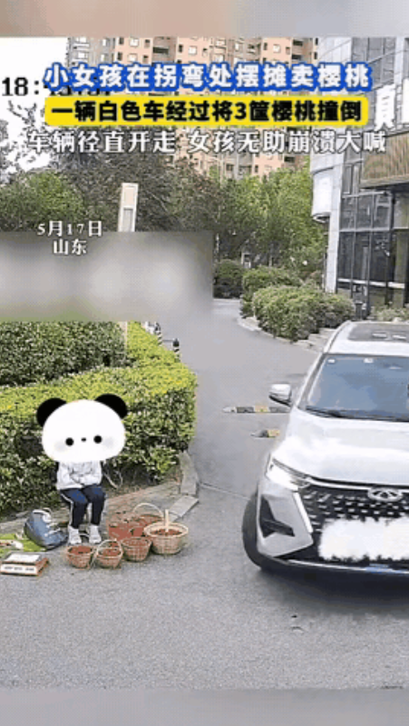 17日，山东一小姑娘在路边摆摊卖樱桃，这时一辆白色车子经过，压倒了三筐樱桃，樱桃