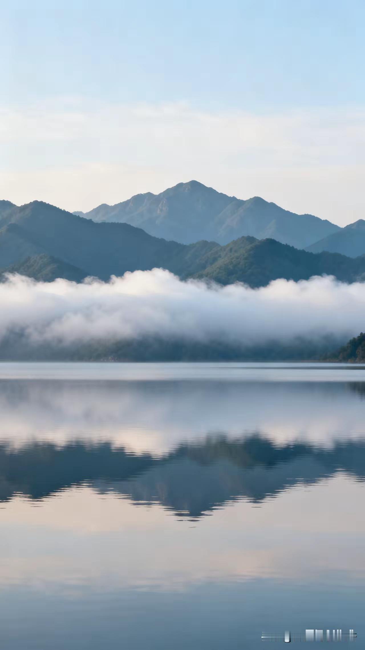 今天去菜市场买菜，碰到个稀罕事！在我蹲在摊位前挑白菜的时候，旁边卖菜的大妈突然一