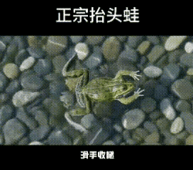 蛙泳就是这么简单！教练亲自游给你看