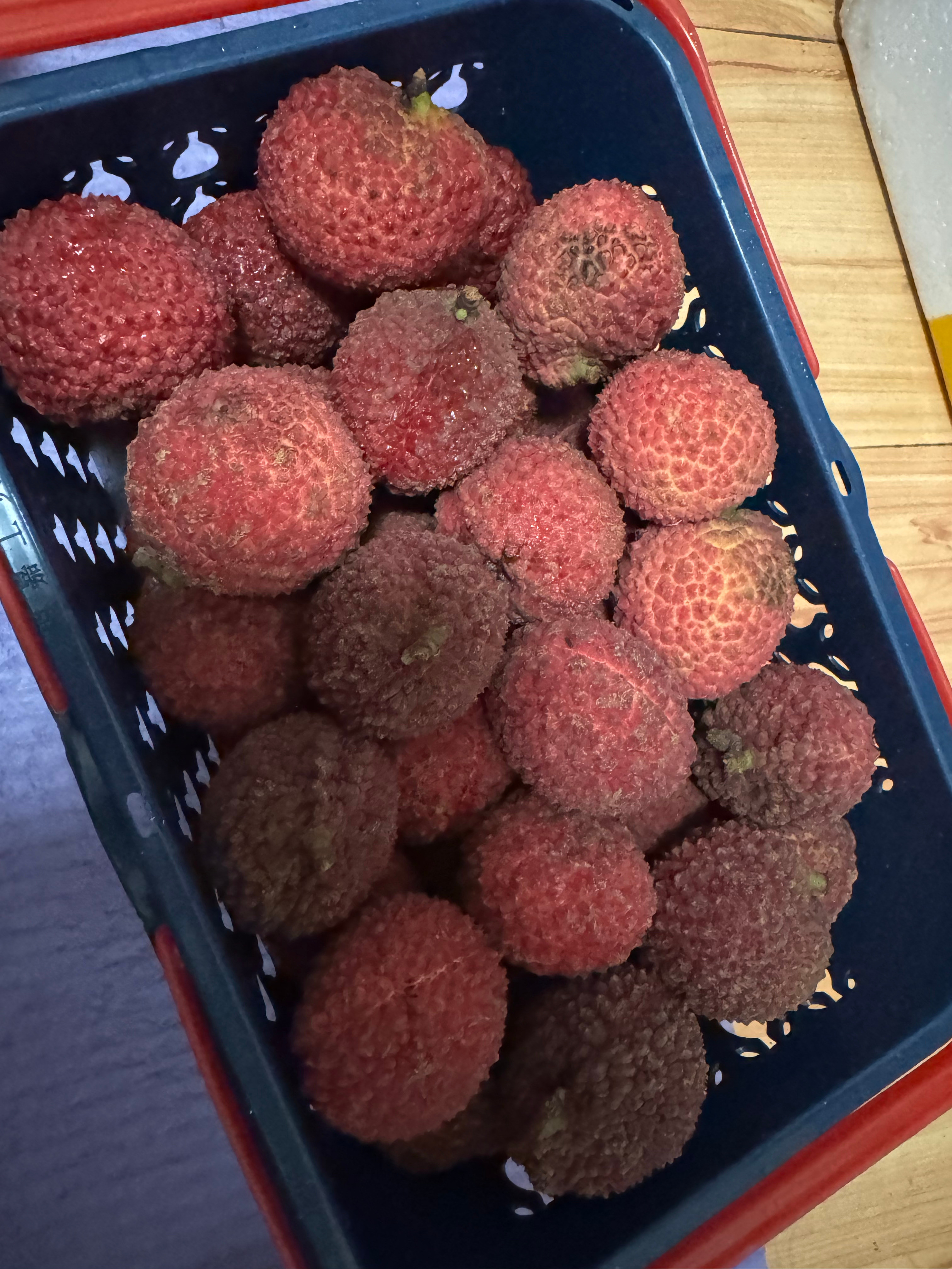 咪的天好吃好吃好吃😋