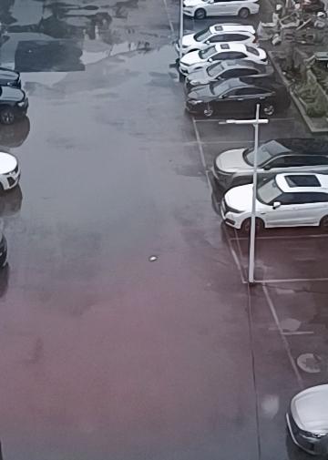 昨天晚上9点多，沈阳是电闪雷鸣啊隆隆的雷声响了好一阵。后来睡