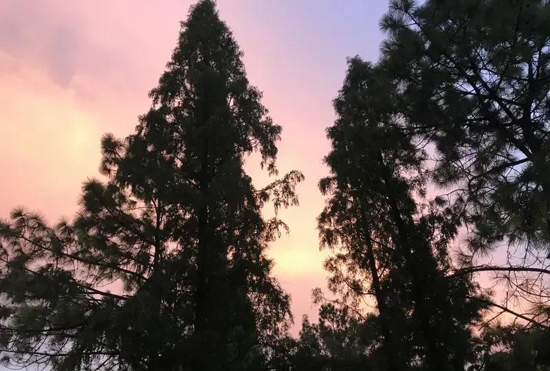 周末，公司的女同事邀小王前往贵州爬梵净山。于是两人结伴出发，到达后进入一家酒店打