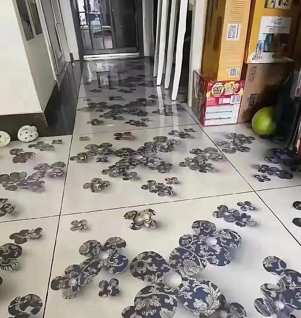 新房子装修，老婆婆买的地砖儿。让我惊呆了，这可怎么住啊？