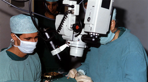 #阿萨德有意在俄重操旧业当眼科医生#【阿萨德有意在俄重操旧业，当眼科医生】#阿萨