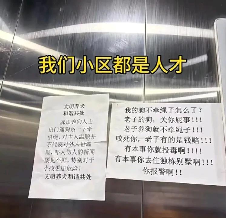 确实都是人才