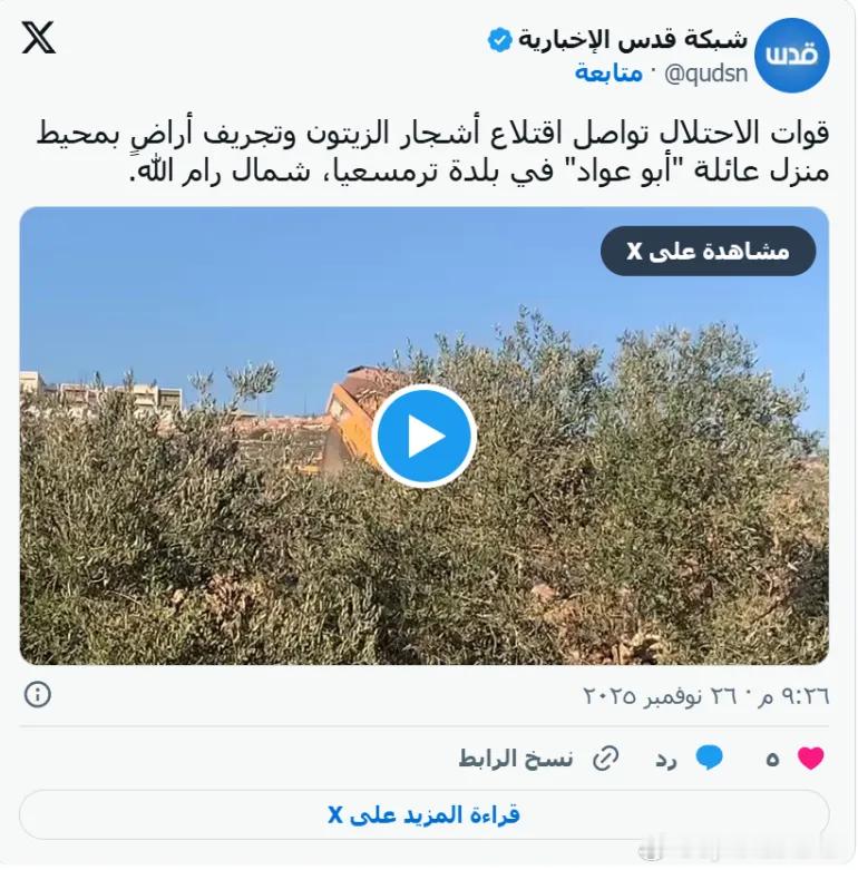 以色列军队在拉马拉以北的图尔穆斯·阿亚镇推平土地巴勒斯坦媒体报道称，以色列军队