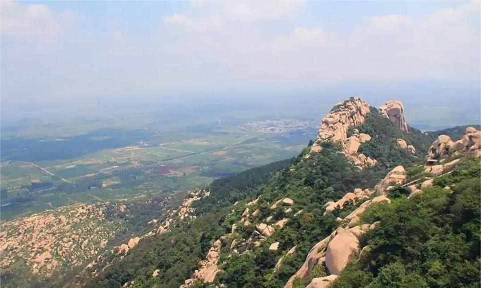 四千年前的山东邹城峄山，这里曾生长着让大禹为之倾倒的珍稀树木——峄阳孤桐。这种梧