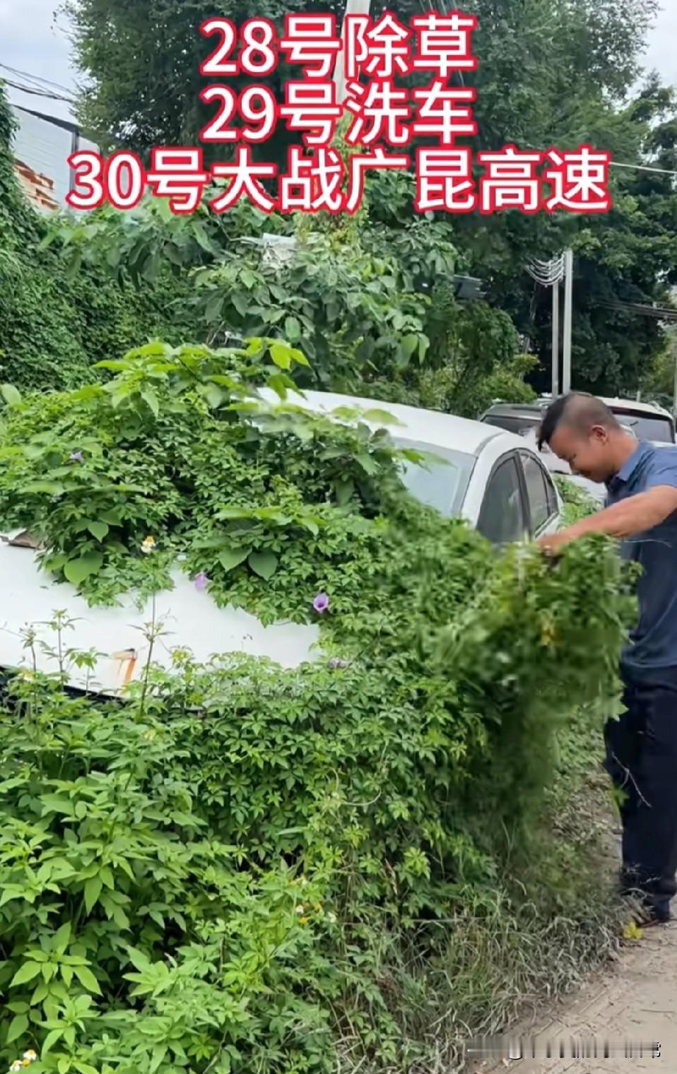 除草洗车大战高速，月饼准备好了吗！一年喝两箱油的“祖宗车”！平时占车位养草