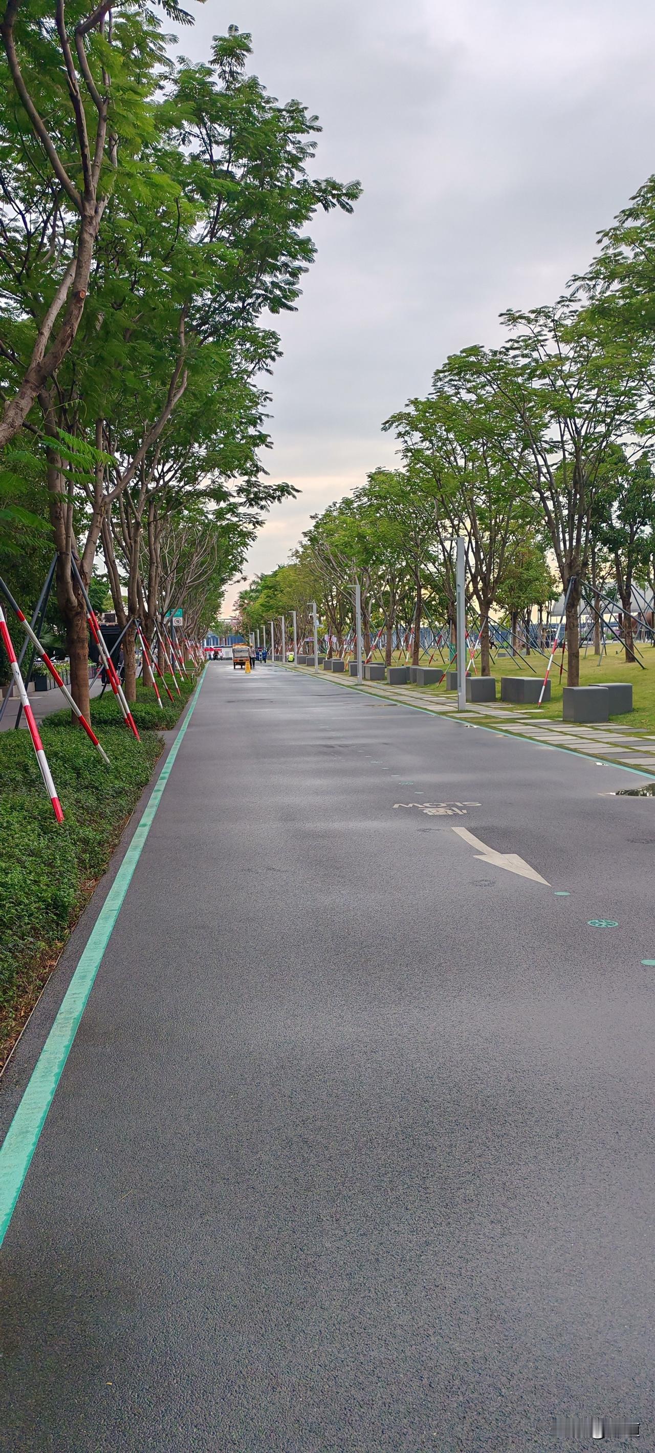 昨天我80岁老妈去镇中学办点事儿，特意选在是集的日子，也好方便搭车，因为我家离镇