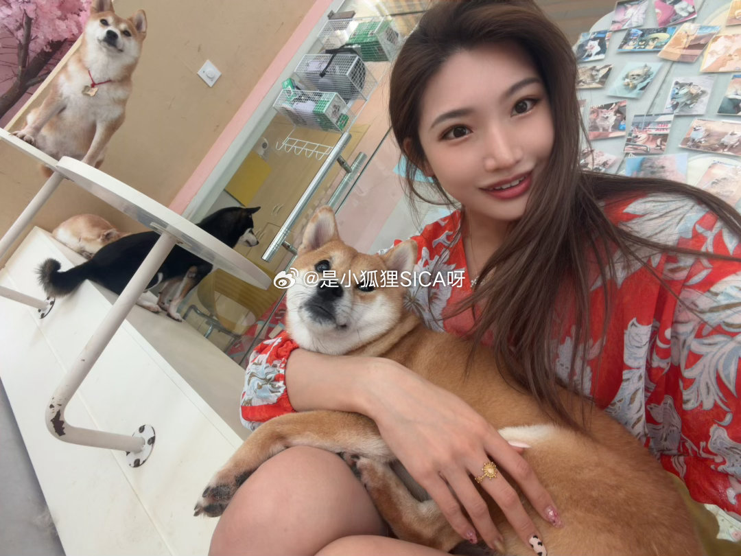 小狗能有什么坏心思一来了就上大腿！霸主吗是