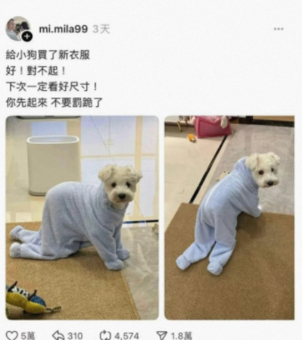 下次一定看好尺寸