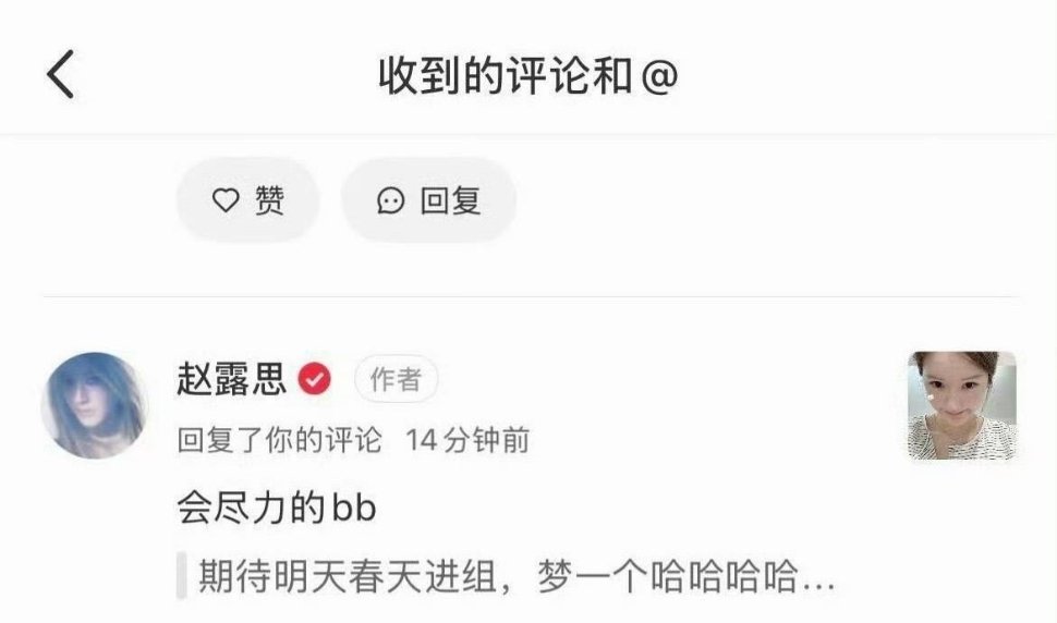 赵露思明年春天进组