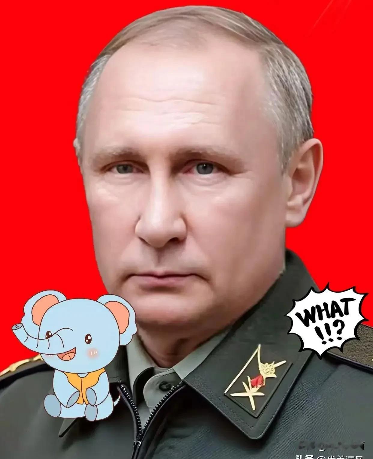 俄罗斯消息！11月25日，一条重要消息传来：俄方表示结束乌克兰危机“欧洲方案