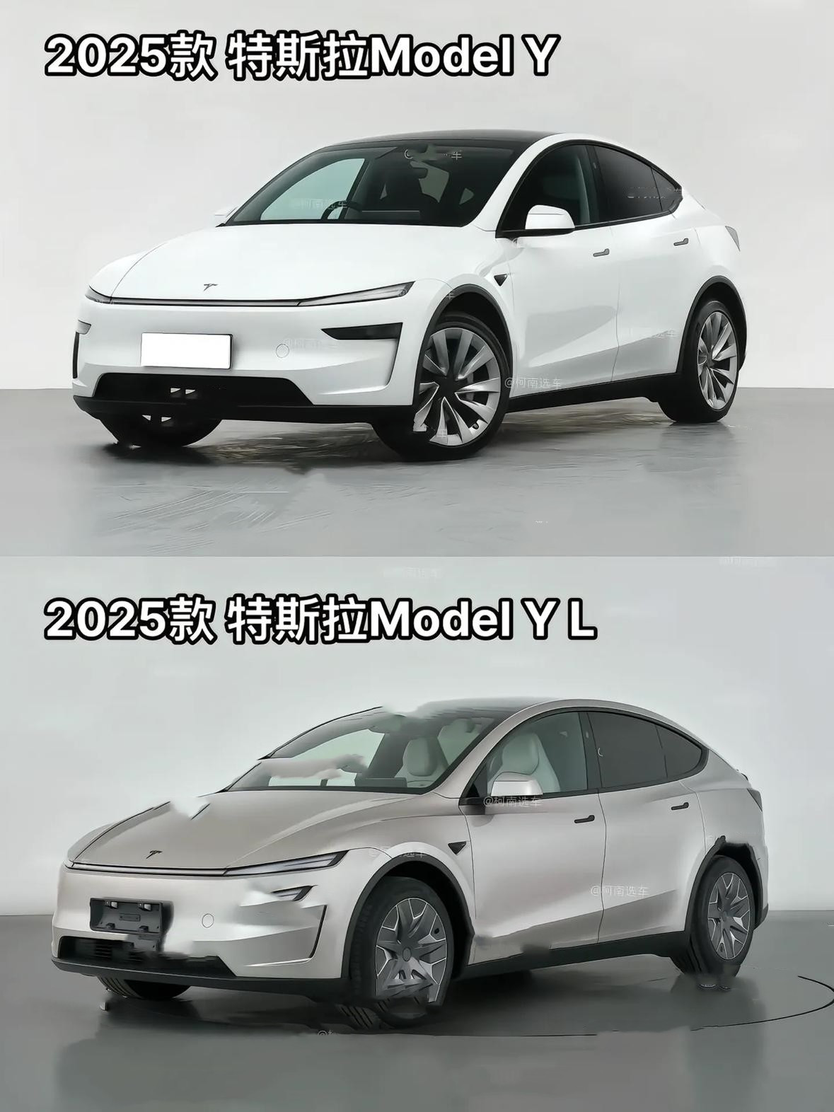 如果ModelYL上市，你会购买吗
