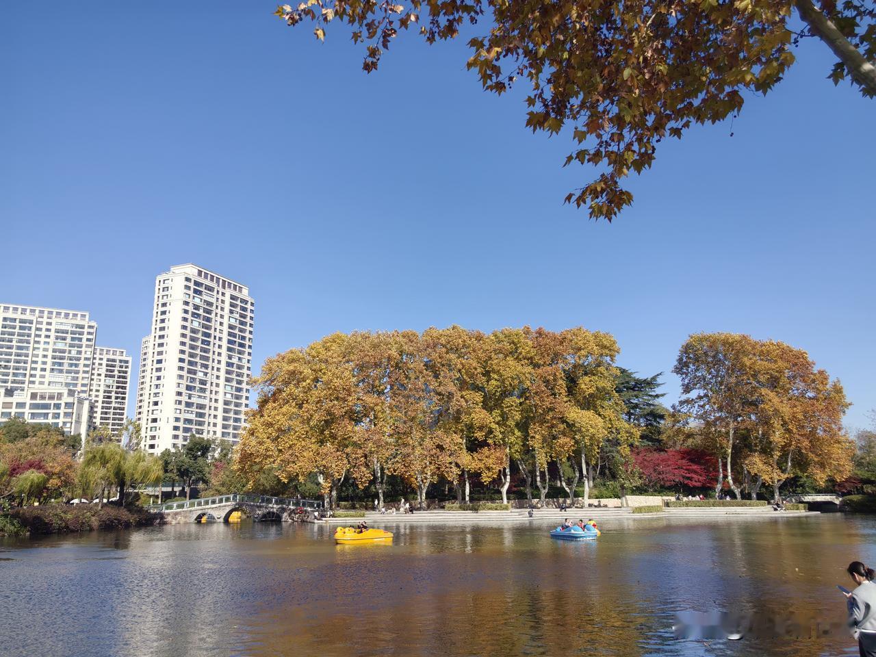 秋天的红梅公园，也色彩斑斓，美不胜收。发小来常州医院配药，说几十岁了，还从来