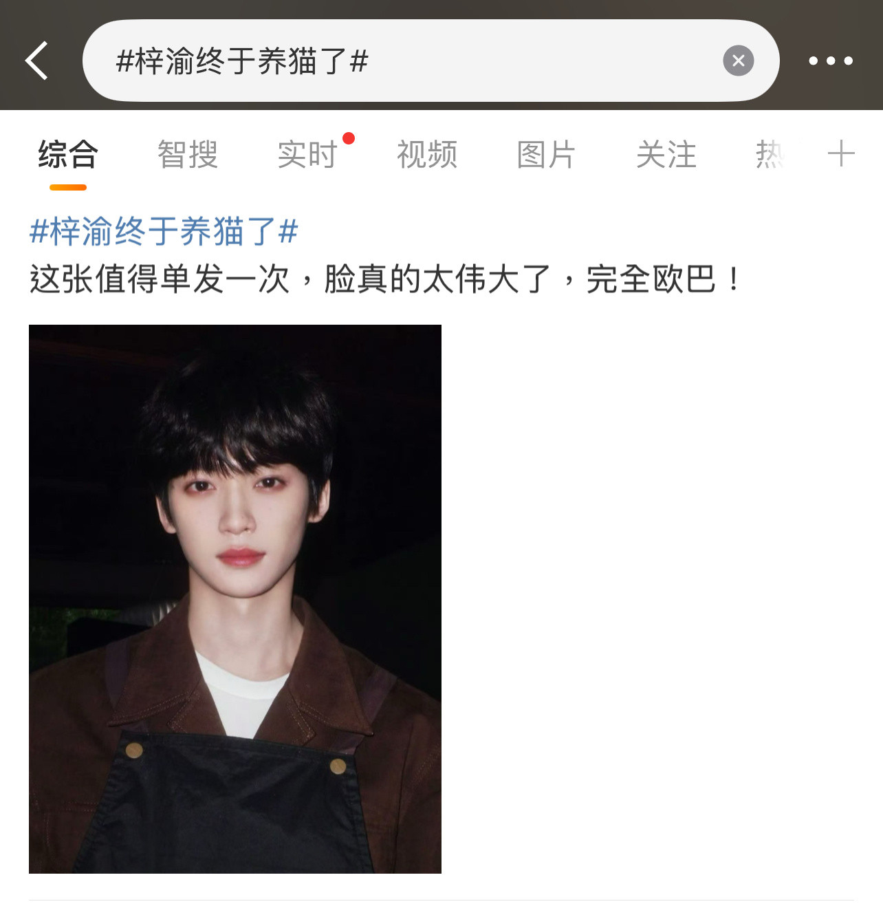 梓渝这张图什么水平？梓渝终于养猫了