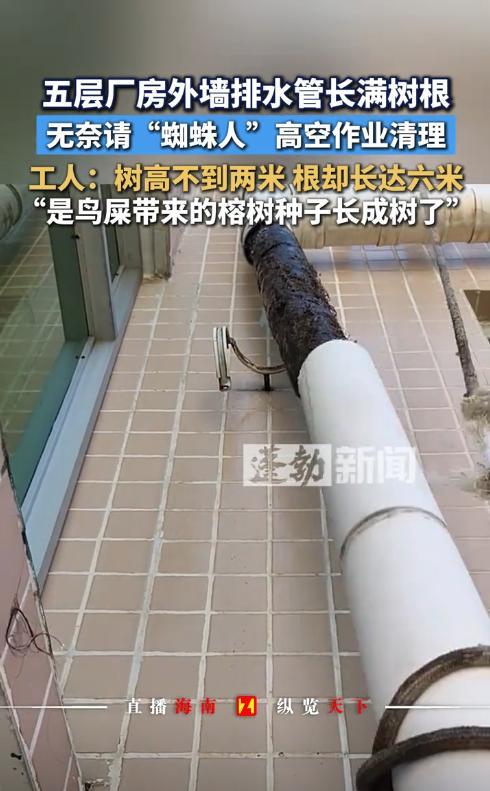 “活久见！”9月13日，广东汕尾，一厂房4楼以下排水正常，上方却发生堵塞，负责人