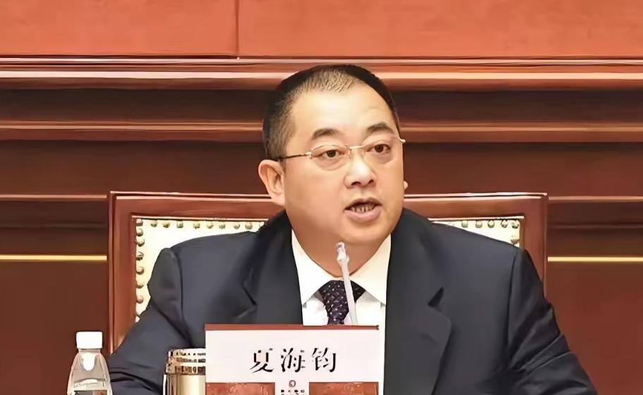 很多人第一次听说夏海钧，都会感叹一句：这哪像打工的？曾经作为恒大集团总裁，年薪