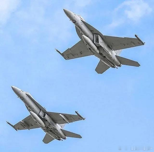 普通虫与超级虫比翼齐飞-区别还是很明显的武器装备兵器影像每天认识一件兵器