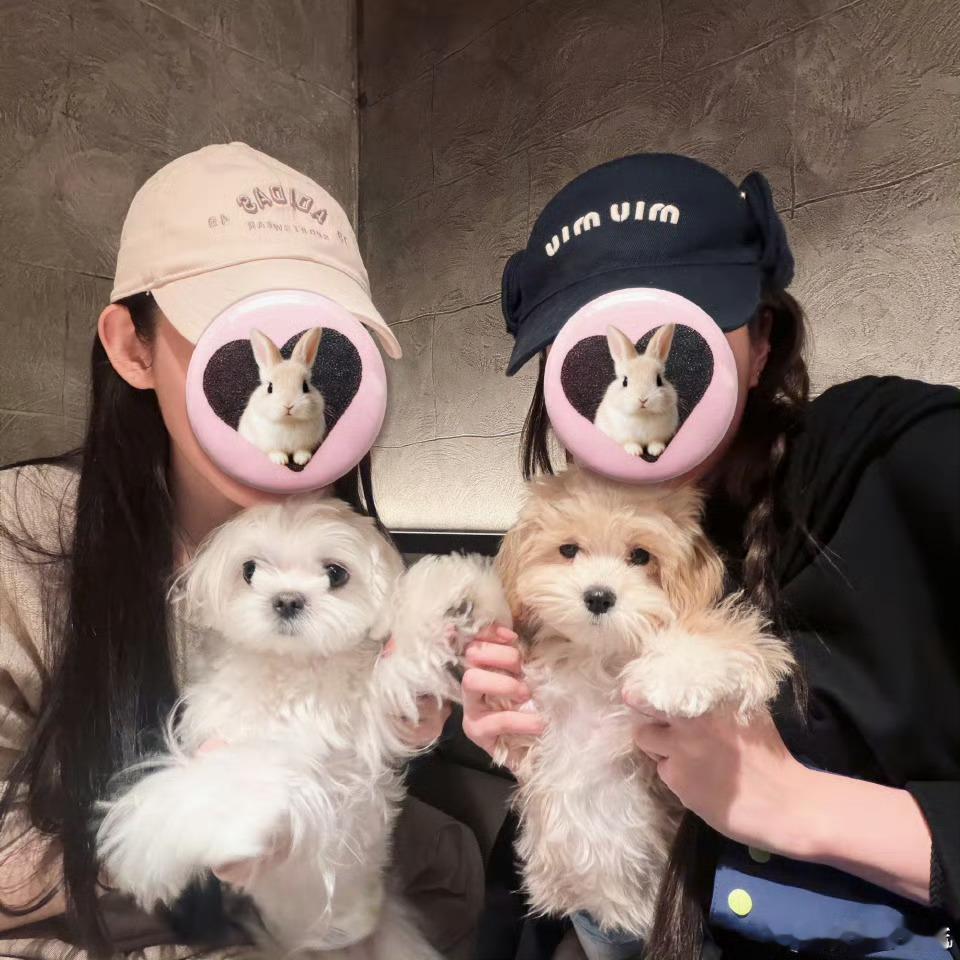 张艺凡带着derder去见好朋友张艺凡用牙做相框可爱宝宝带着宝宝去见好朋友啦