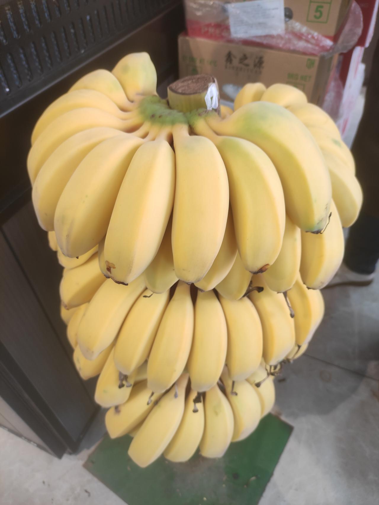 紫微看你今年财运旺不旺？要如何看呢，流年财帛宫状态好，是一种表现，但是一年1