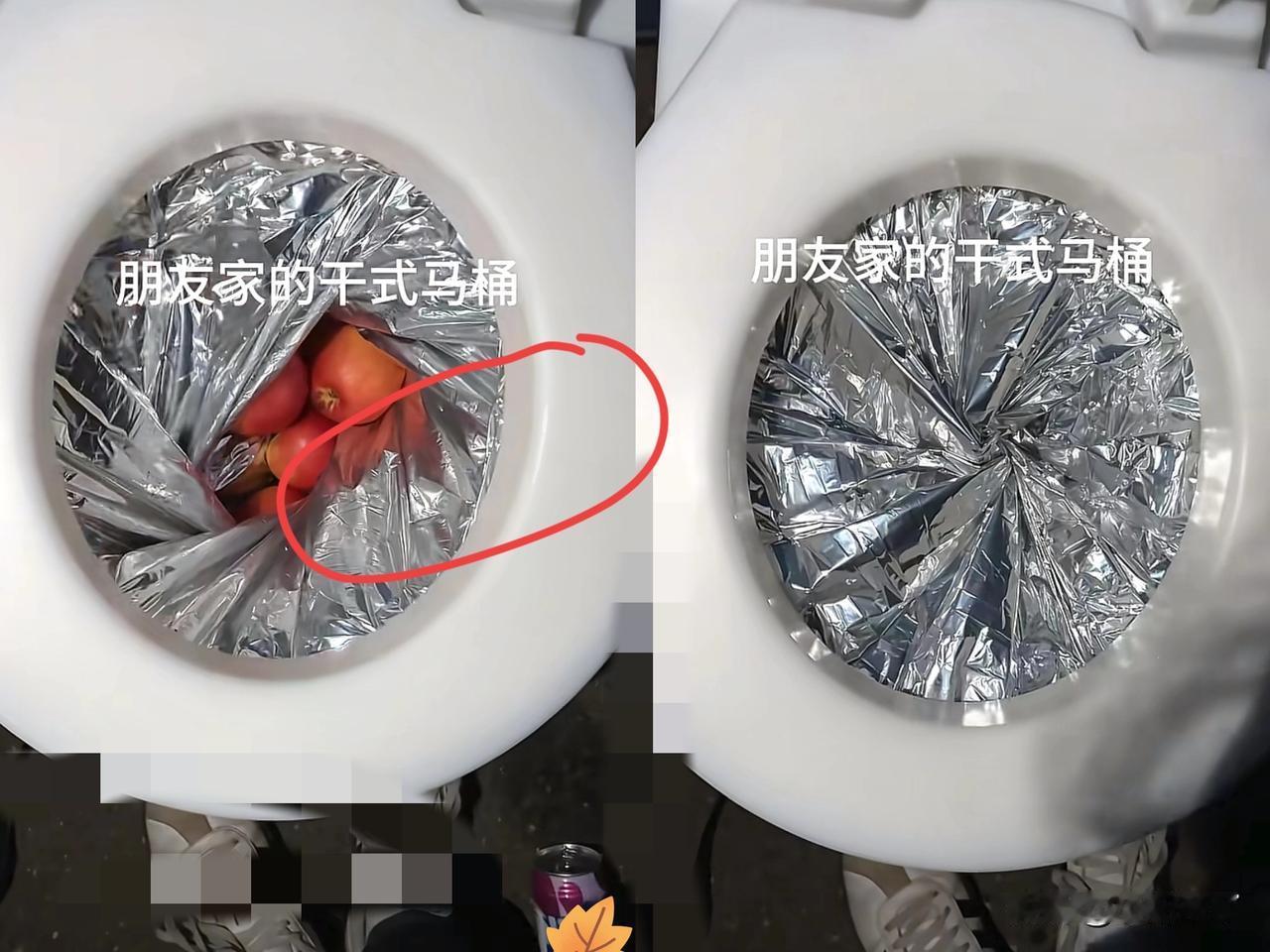 就很离谱！女子去朋友家做客，突然想上厕所，结果却发现，朋友家用的是干式马桶，居然