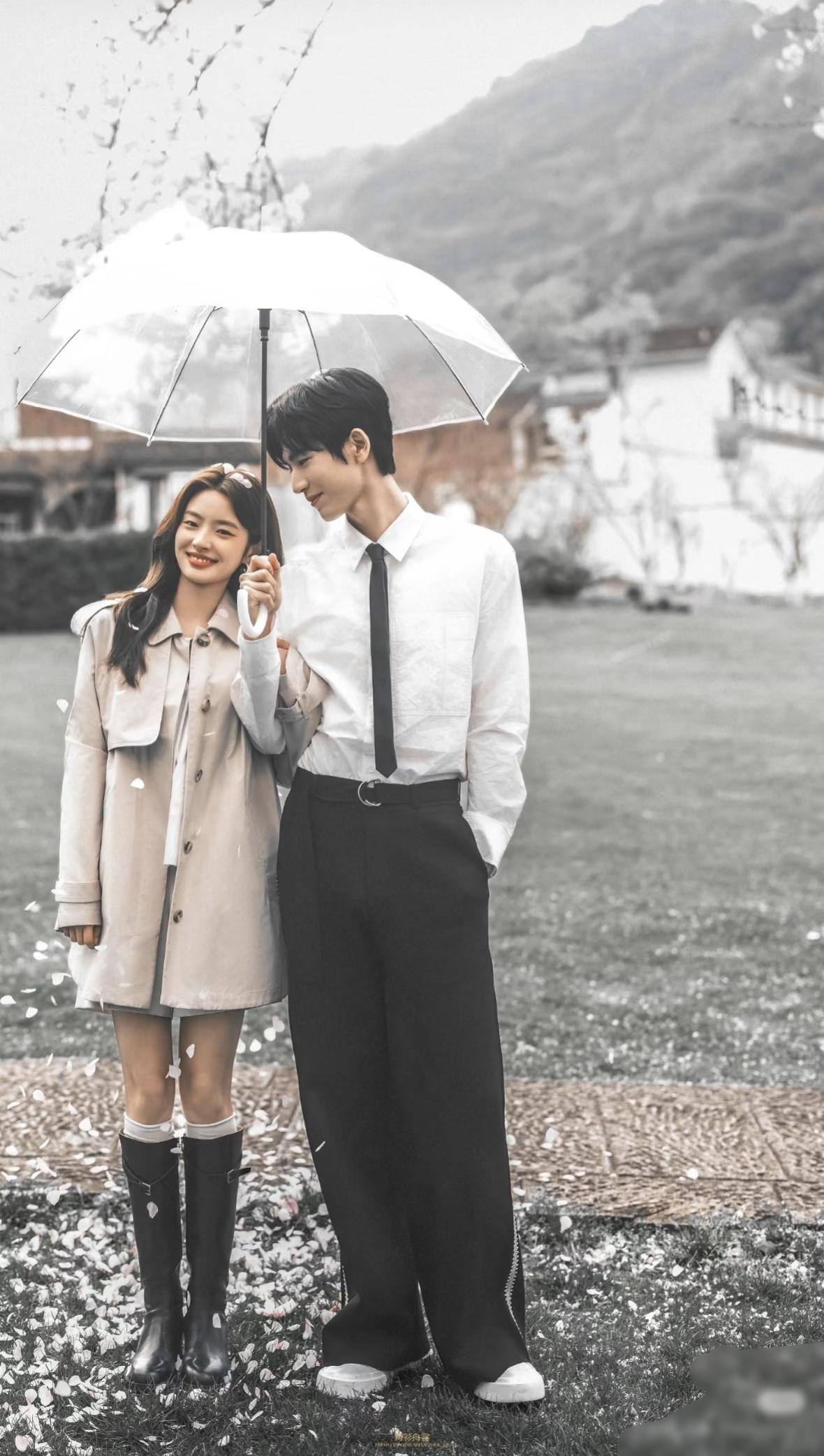 28岁张凌赫什么背景，资源为啥那么好。演五部剧爆了四部，这概率也太高了！盘点