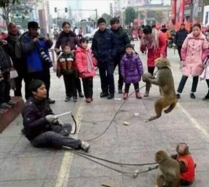 有人发了图1，立马有人给他回了图3，这是斗图的开始吗？​​​