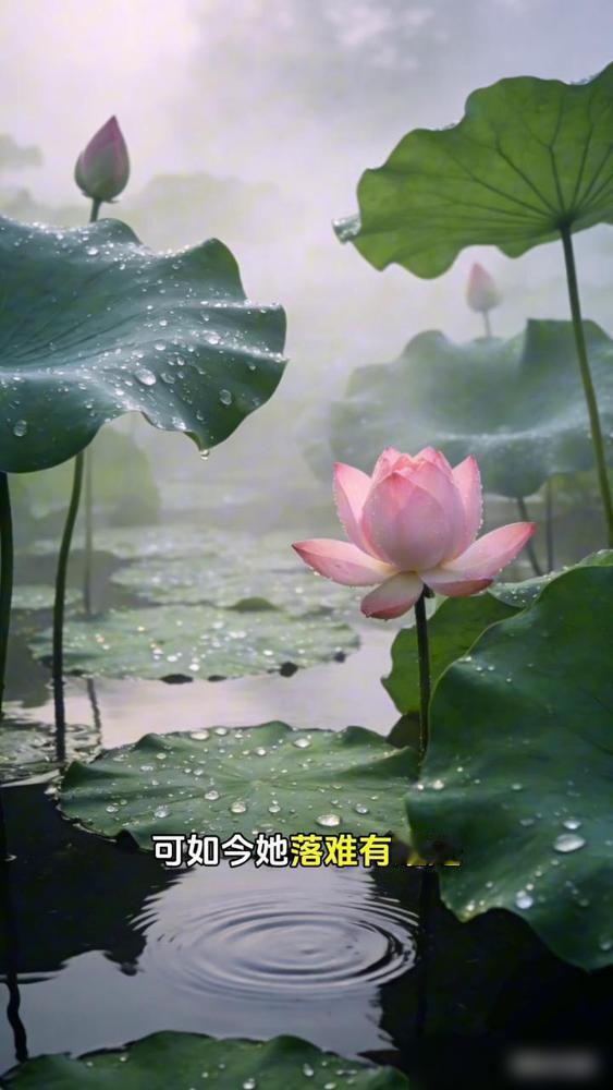 全网都在避嫌河南三妹，只有虎牙娜敢说大实话。真的是把网红圈那点世态炎凉看的透
