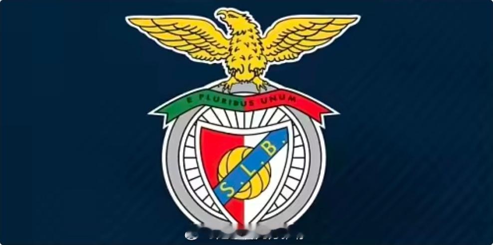 本菲卡0比1皇马本菲卡辟谣：主席没有和皇马工作人员发生冲突，完全是捏造北京时间2