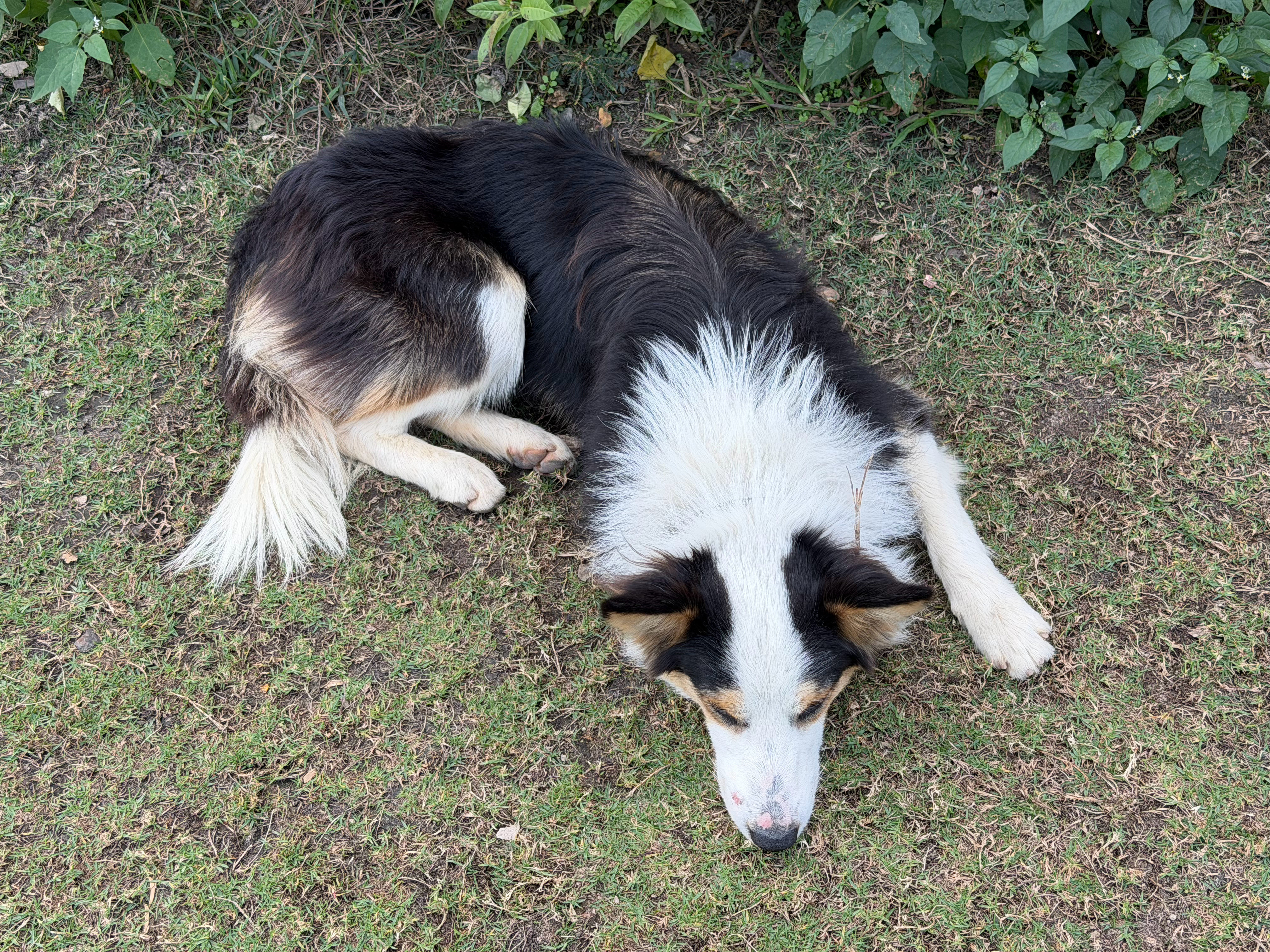 上面iPhone17ProMax下面小米17Ultra谁更强？