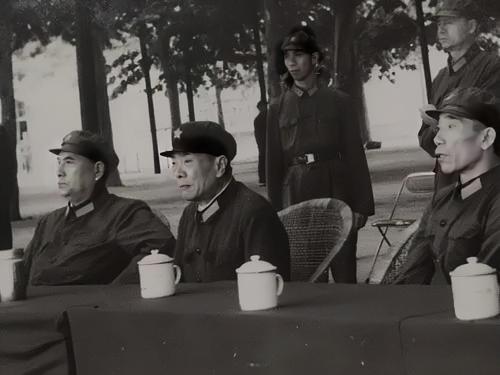 1985年百万大裁军，武汉军区作为一个大军区被撤销。司令员周世忠和政委严政，都是