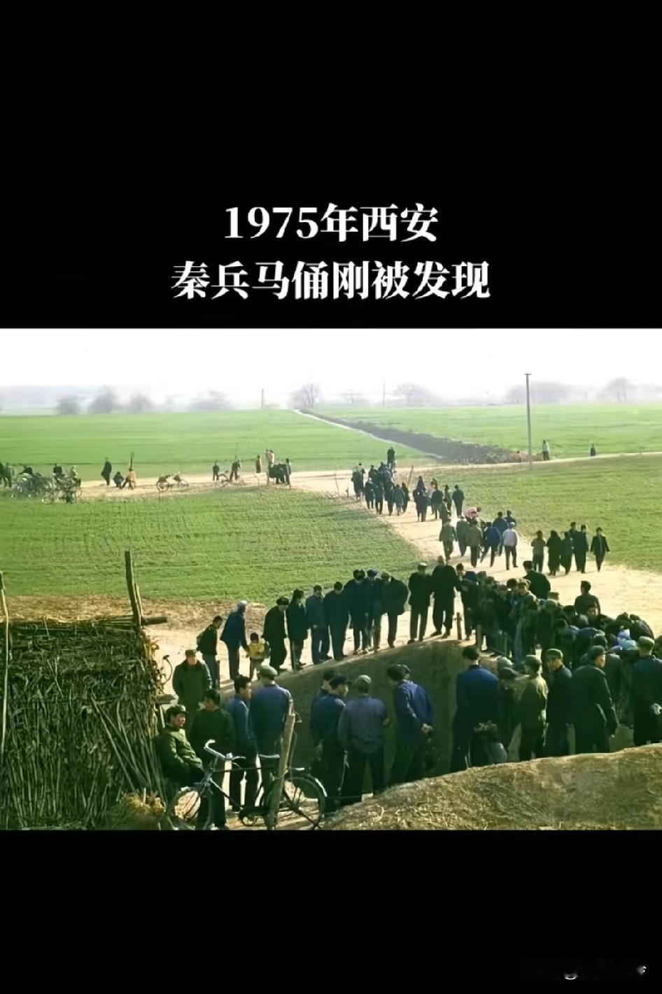 1975年西安兵马俑刚刚被发现时，原来这一大片全部都是良田…一个兵马俑，从发现
