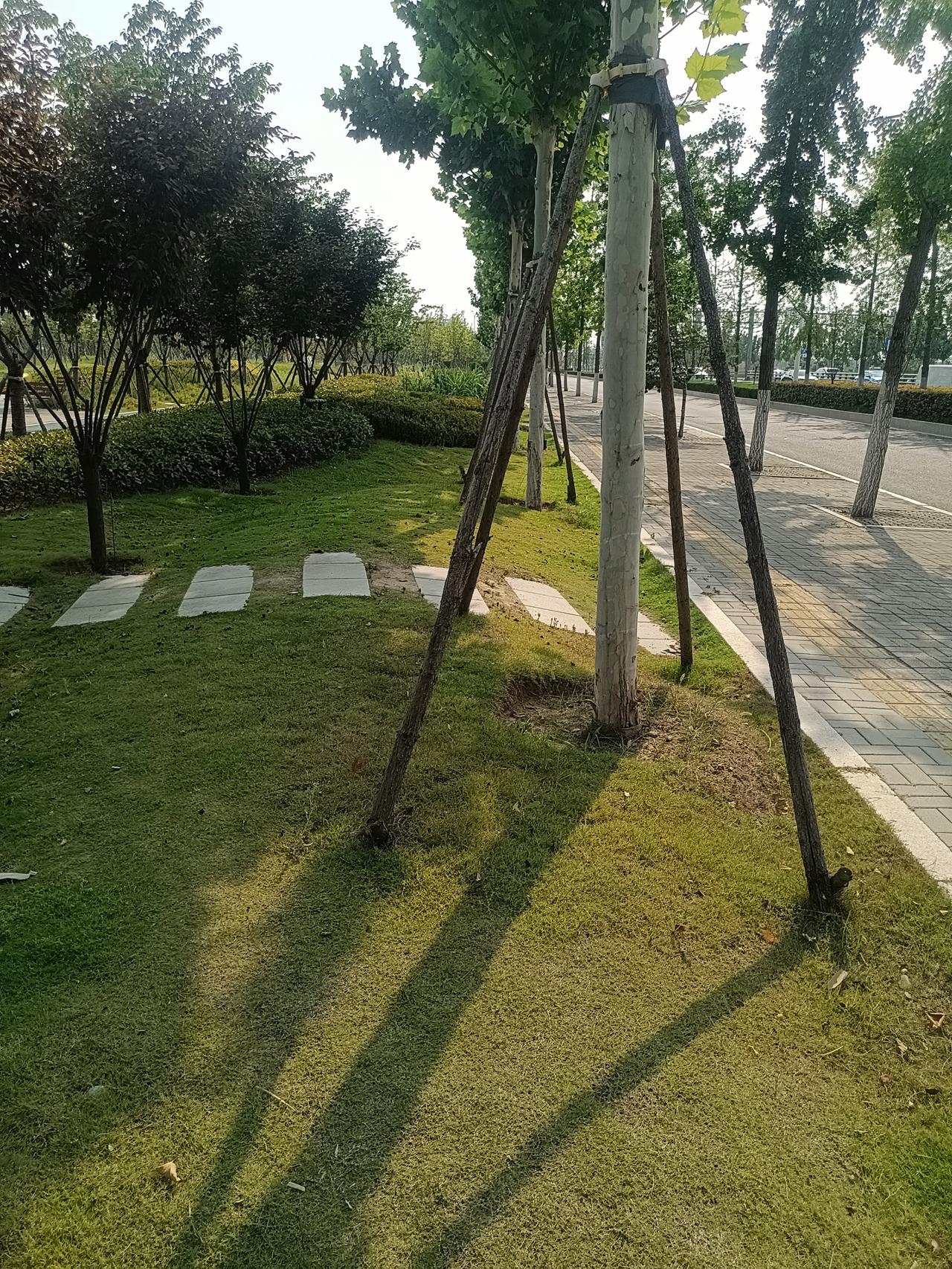 情感专家说：“不管这个男人好色不好色，和相爱的女人何时进入肉体关系是一个不容回避