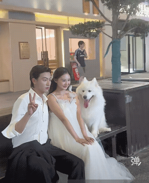 狗狗太聪明太可爱了，拍照还用小手手抱着美女，依偎着她，还会亲亲，真是情绪价值拉满