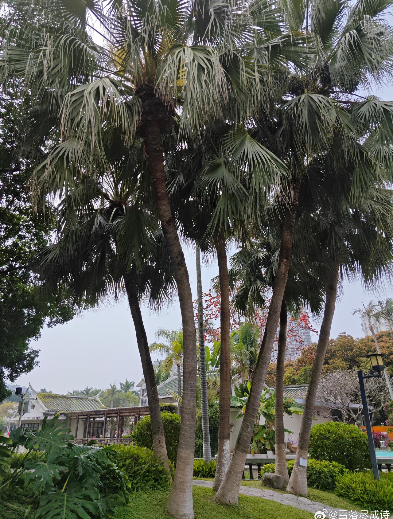 好友聊天，讲述姐姐家的外甥谈的女友分手了，而且都是高学历，女孩还是做法律的优秀女
