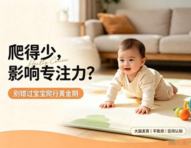 宝宝爬得越多越聪明! 科学爬行, 筑牢孩子大脑发育黄金基底