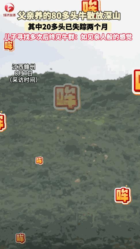 “万物皆有灵！”近日，江西赣州，一老人在山上散养了80多头牛，其中20多头失踪两