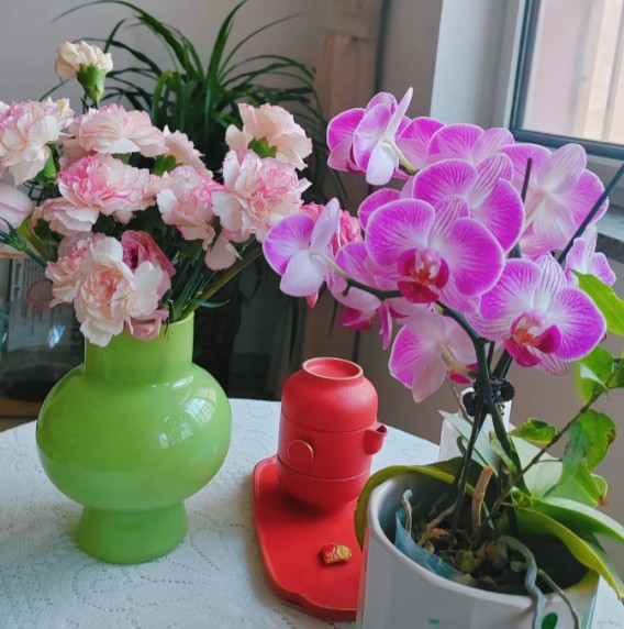 婚姻首选门当户对，无论一婚还是二婚。有好多退休老头丧偶之后，就想找一个农村的老太