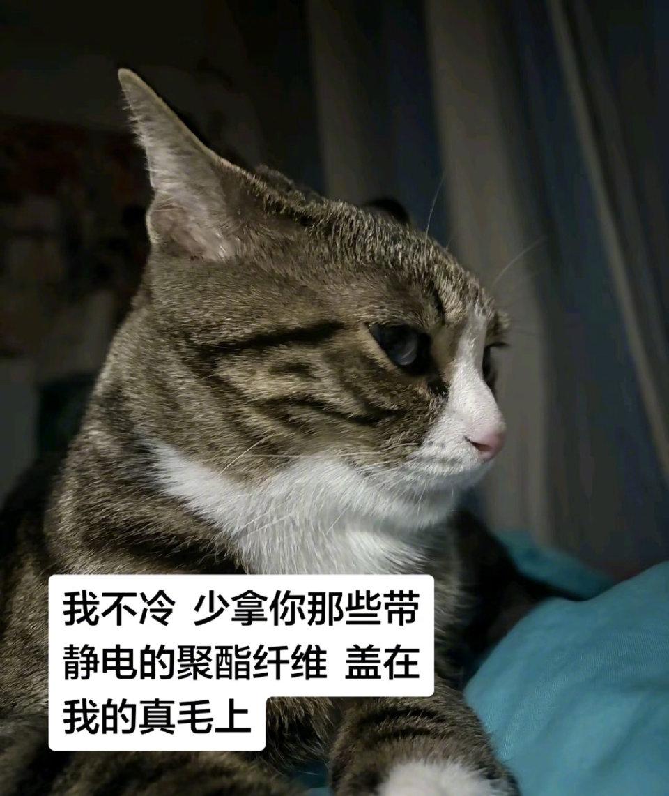 笑不活了！一身聚酯纤维的我怎么敢碰纯毛的你[捂脸哭]，说的就是冬天的铲屎官！