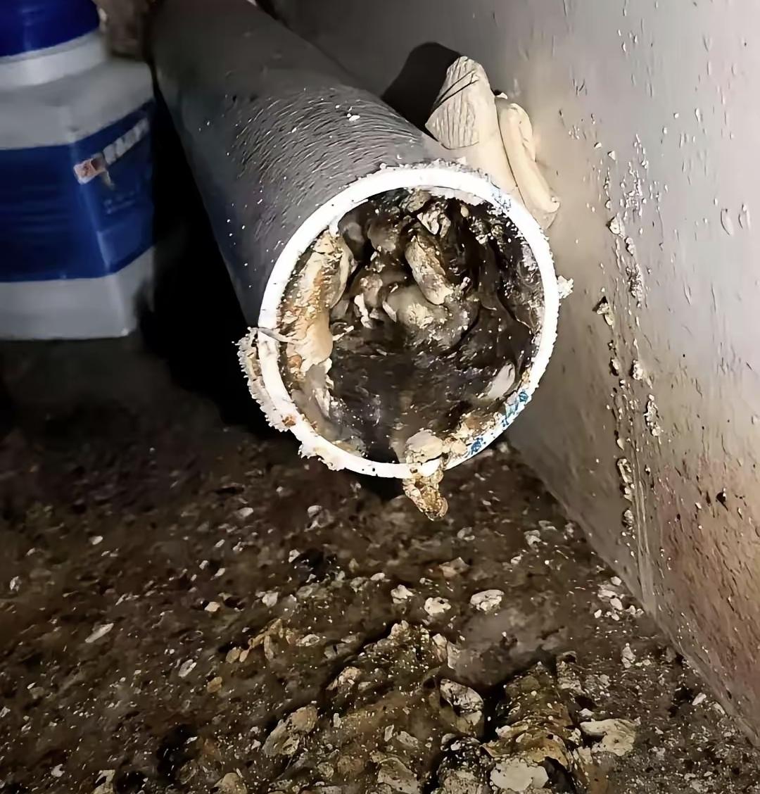 昨晚小区喝酒，一个干了十年的管道工大哥喝大了，说句实在话让我后背发凉。他说现在很