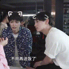 小猫咪大狗狗