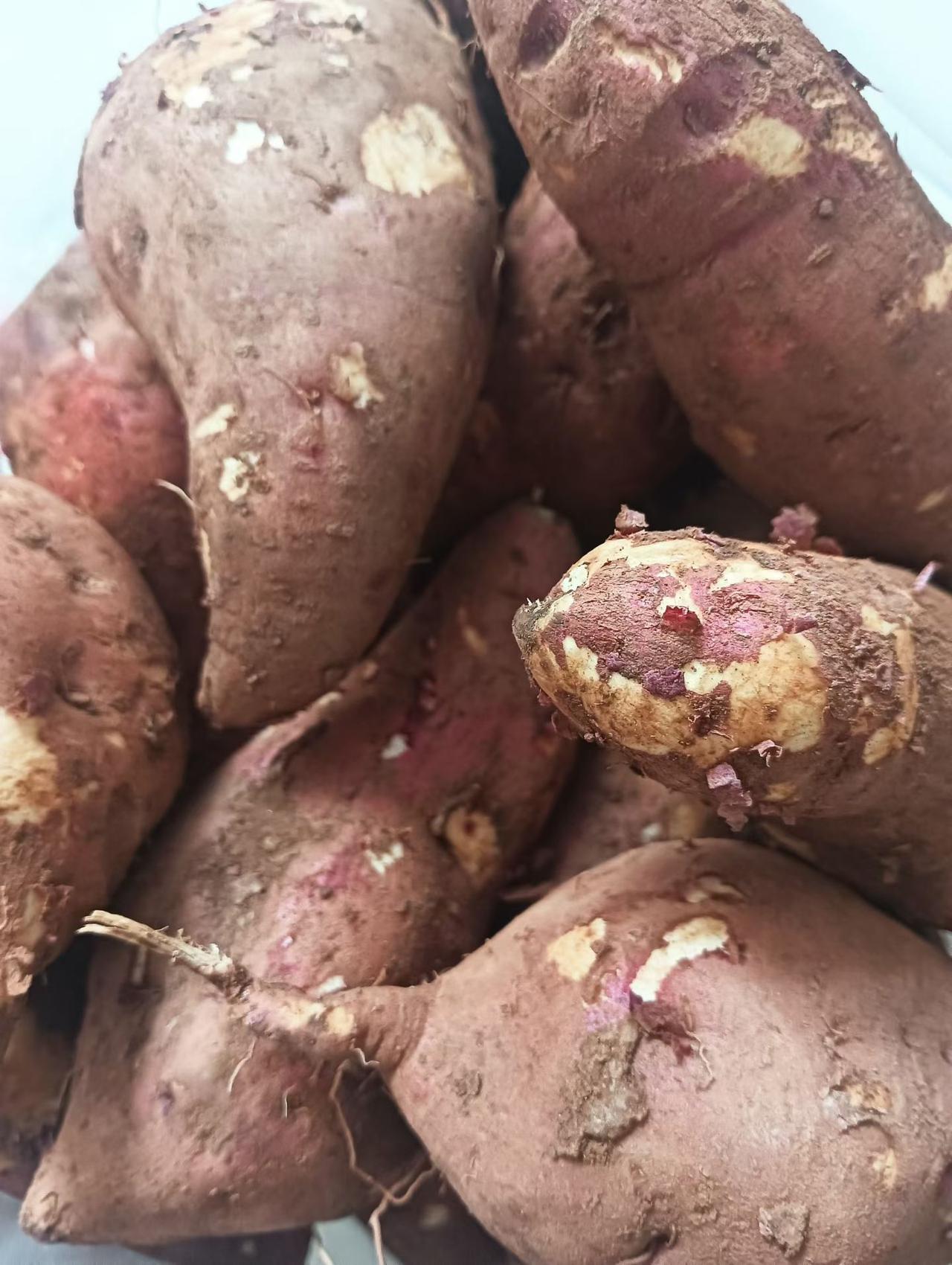 冬季每家必吃的一宝，吃完全身爽，可蒸、煮、烤。