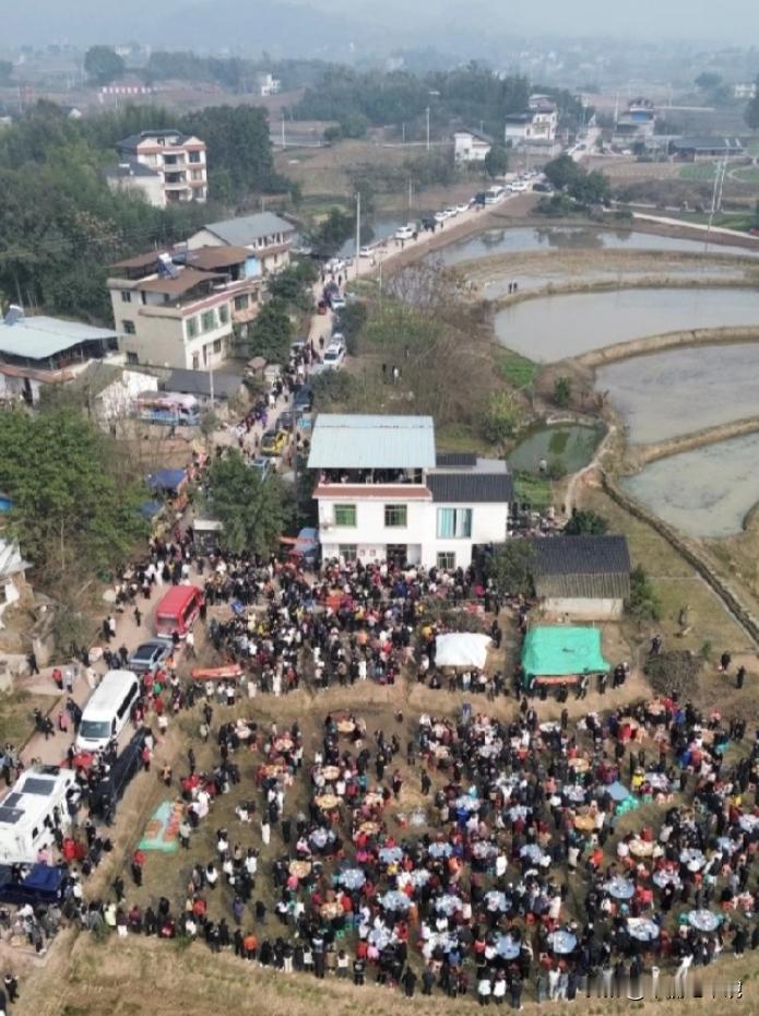 一位在公安局担任政委的学生告诉我说，重庆合川呆呆妹最关键，最厉害同时也是最成功的