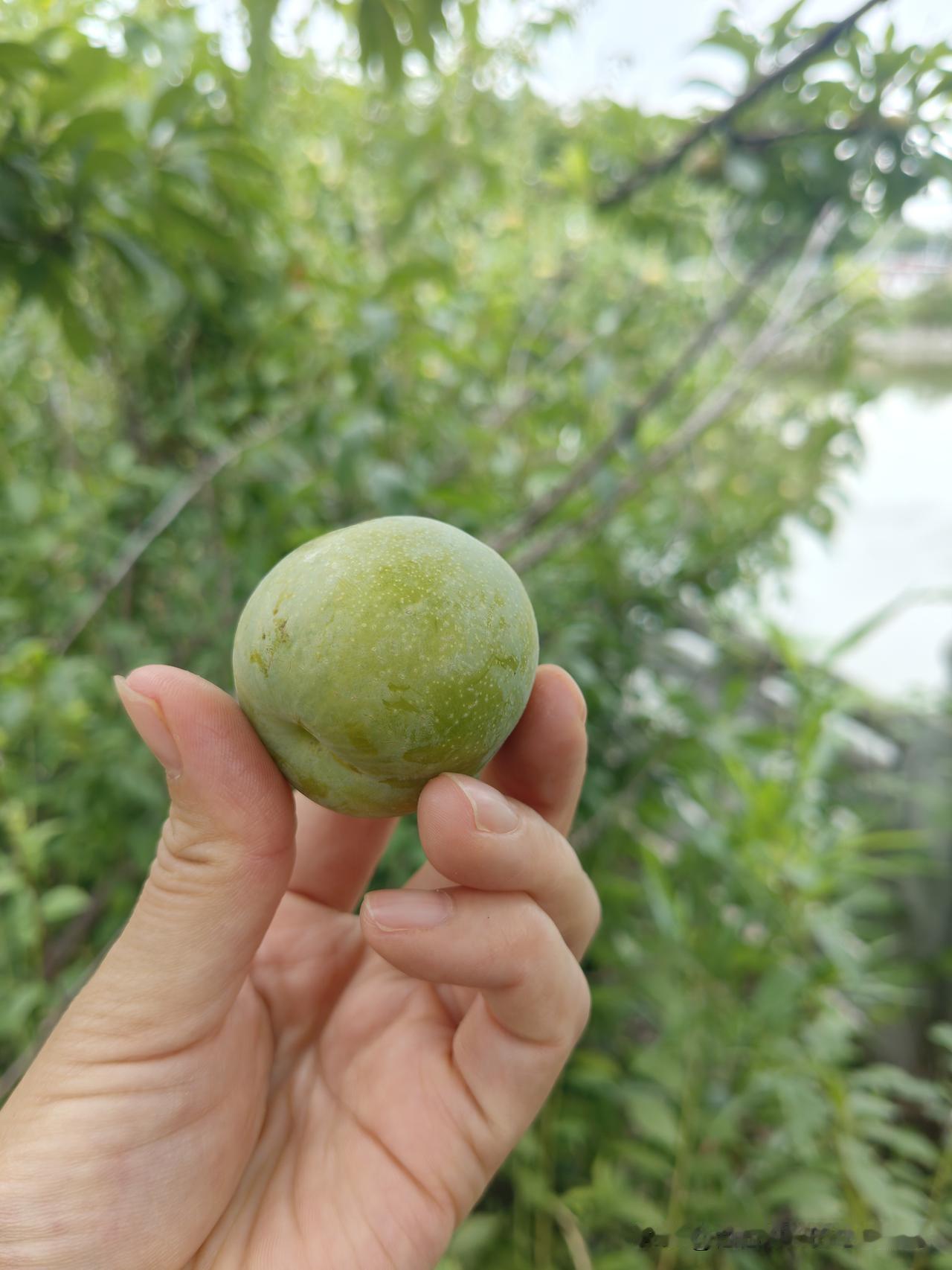 有次聚会，朋友悄悄告诉我说：知道她公公的秘密，还是婆婆告诉她的，她现在对公公一点