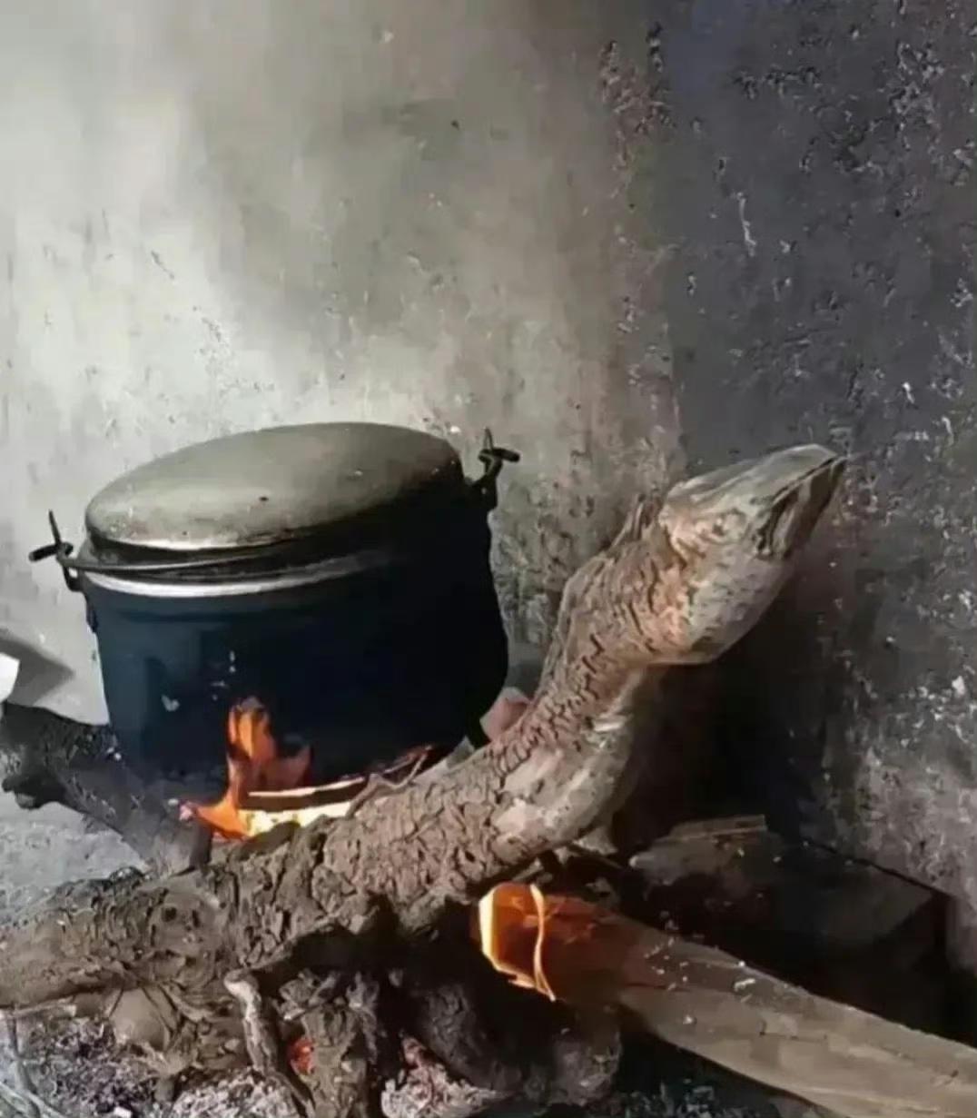 这根木头好不一般啊，幸好烧了。