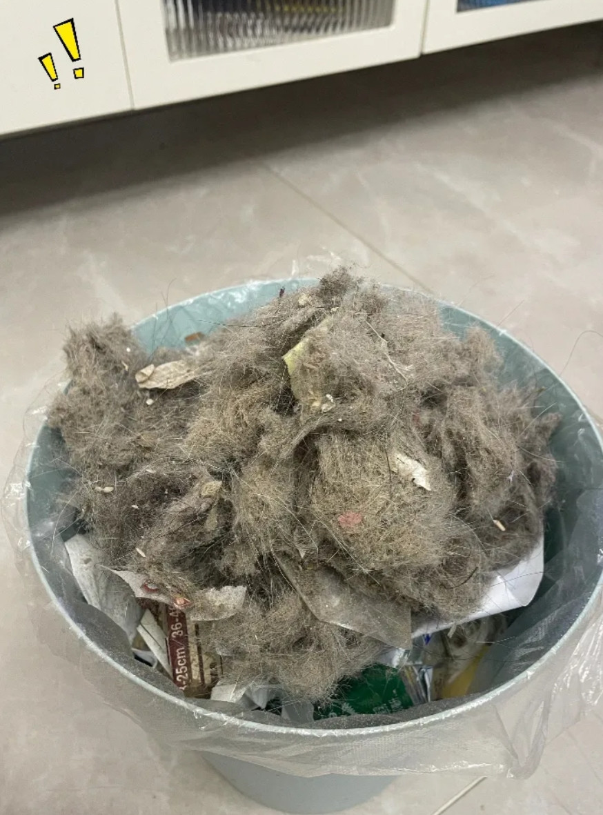 救命！这扫地机器人到底是来帮忙还是添堵的？买了才两个月，本指望它天天让家一尘不染